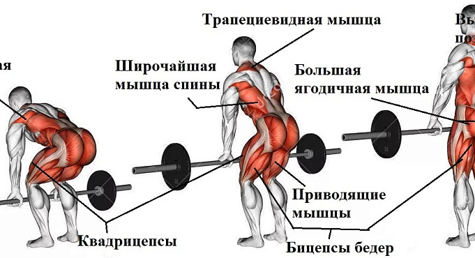 Лечение боли в спине после поднятия тяжестей в клинике Март в Санкт-Петербурге